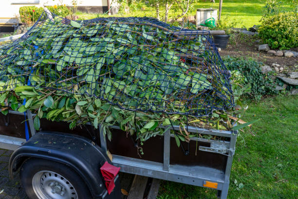 Best Carpet Removal and Disposal  in Lake Dalecarlia, IN