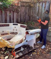 Best Demolition Debris Removal  in Lake Dalecarlia, IN